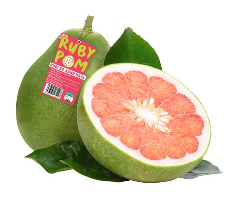 Bưởi Da Xanh Ruby Pom
