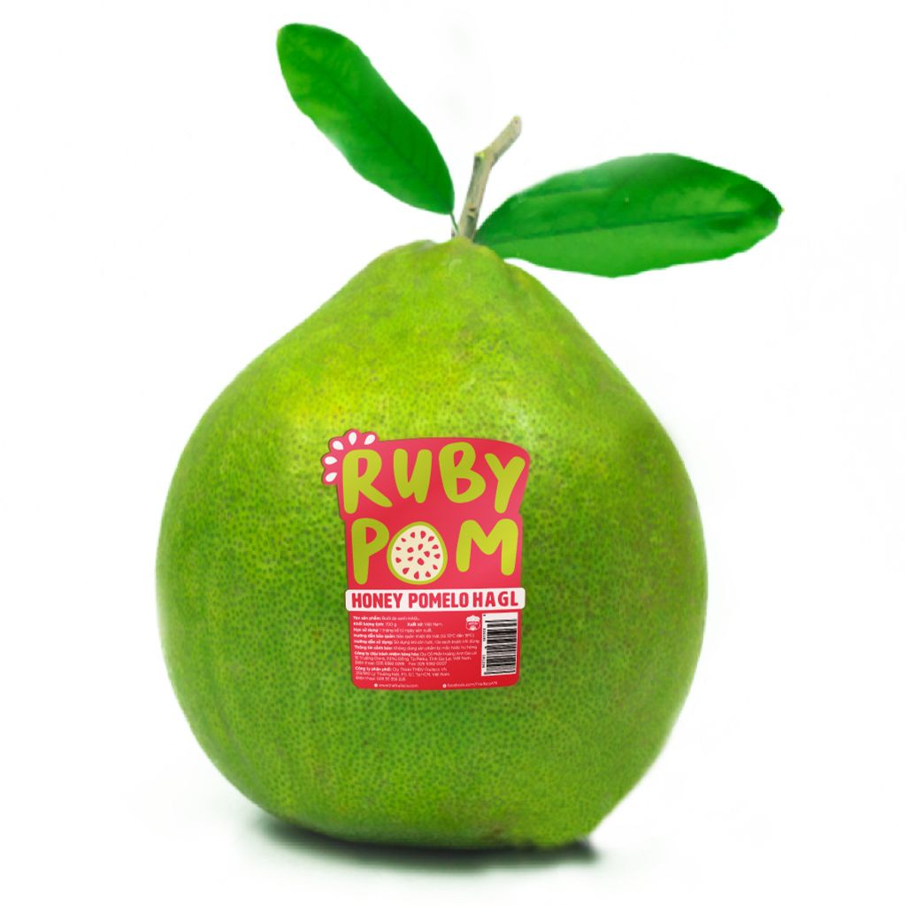 Bưởi Da Xanh Ruby Pom