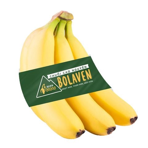 Chuối Bolaven