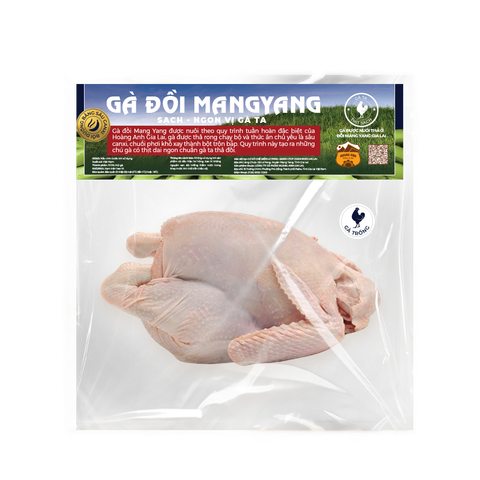Gà đồi MangYang Hoàng Anh Gia Lai - Gà trống nguyên con