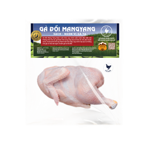 Gà đồi MangYang Hoàng Anh Gia Lai - Gà mái nửa con