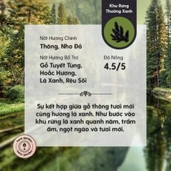 Tinh Dầu Thơm Phòng Phối Hương 27 MÙI HENY GARDEN