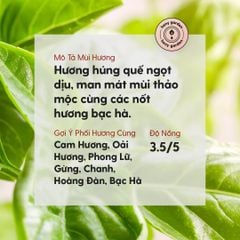 Tinh Dầu Húng Quế (Basil Essential Oil) Heny Garden