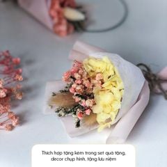Bó Hoa Khô Mini Baby Trang Trí Hộp Quà Tặng HENY GARDEN