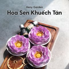 Đá Thơm Khuếch Tán Tinh Dầu Hoa Sen HENY GARDEN (Mẫu Mới)