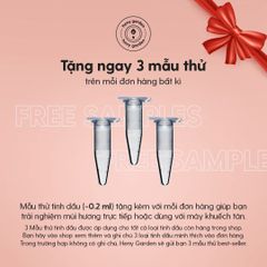 Sáp Đậu Nành Làm Nến Thơm Wonder Soy Wax