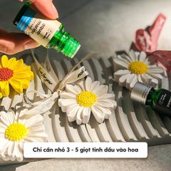 Đá Thơm Khuếch Tán Tinh Dầu Thơm Phòng Hoa Cúc & Hướng Dương HENY GARDEN