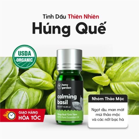 Tinh Dầu Húng Quế (Basil Essential Oil) Heny Garden