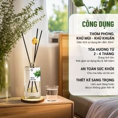 Bộ Tinh Dầu Khuếch Tán Thơm Phòng Cắm Que HENY GARDEN Thay Thế Máy Xông