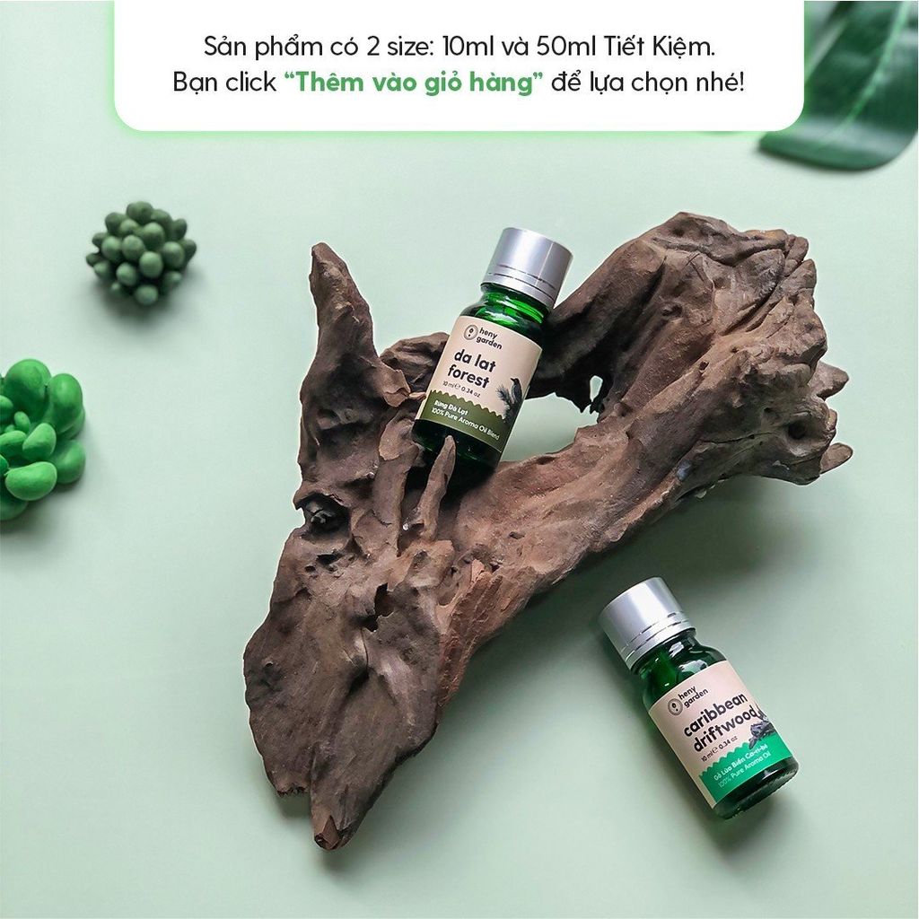 Tinh Dầu Thơm Phối Hương Royal Chocolate (Sô cô la Hoàng Gia) Heny Garden
