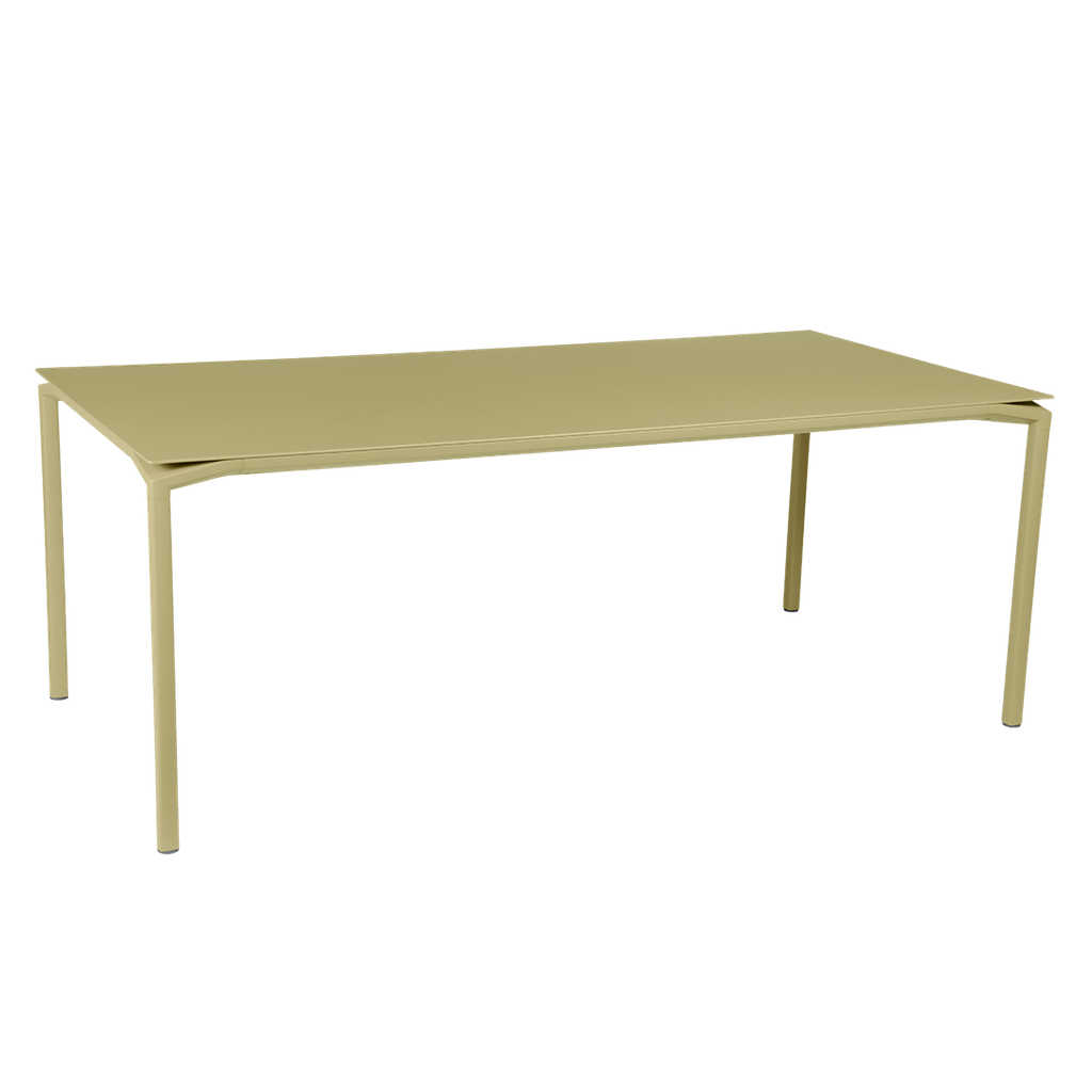 CALVI Table 195 x 95