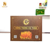  Hộp Carton Cứng Đựng Đông Trùng Hạ Thảo 