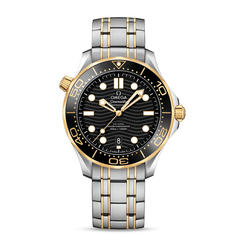 Omega 42mm Nam 210.20.42.20.01.002