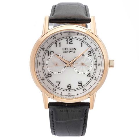 Citizen 42mm Nam AO9003-16A