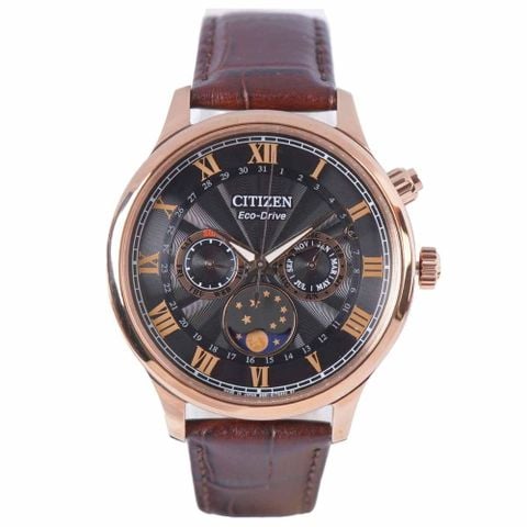 Citizen 42mm Nam AP1059-19E