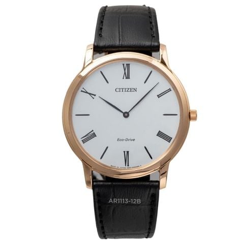 Citizen 39mm Nam AR1113-12B