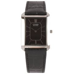 Citizen 29mm Nam AR3000-26E