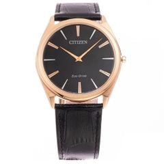 Citizen 38.5mm Nam AR3073-06E