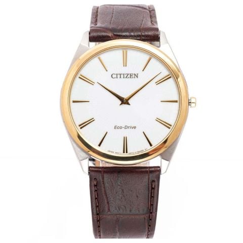 Citizen 38.5mm Nam AR3074-03A