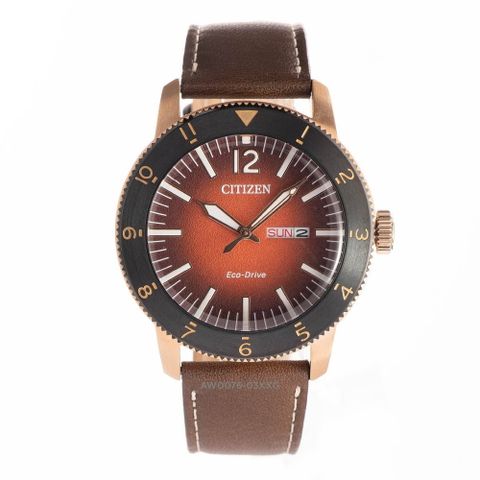 Citizen 43mm Nam AW0076-03X