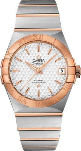 Omega 123.20.38.21.02.008