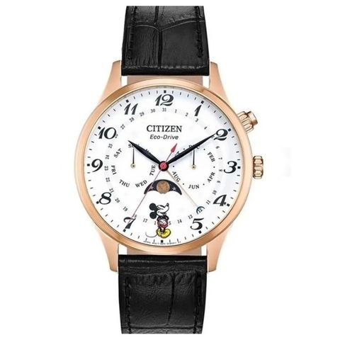 Citizen 42mm Nam AP1053-15W