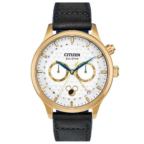 Citizen 42mm Nam AP1058-11W