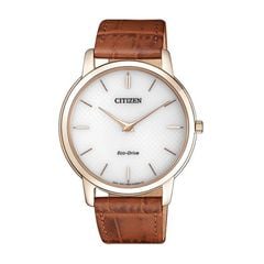 Citizen 39mm Nam AR1133-15A