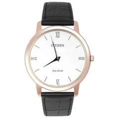 Citizen 39mm Nam AR1133-23A