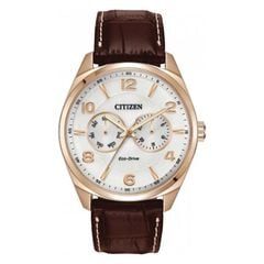 Citizen 43mm Nam AO9023-01A
