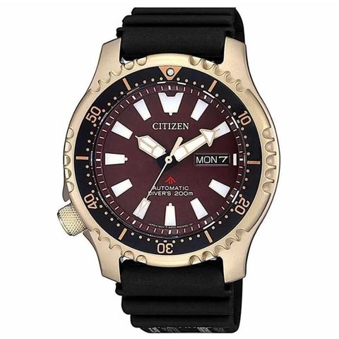 Citizen 42mm Nam NY0083-14X