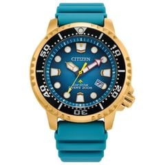 Citizen 44mm Nam BN0162-02X
