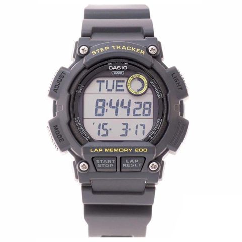 Casio WS-2100H-8AVDF