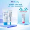 Combo sạch sâu giảm mụn Blissberry Sữa rửa mặt 100ml và Gel giảm mụn 15ml