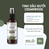  BCE120 - Xịt Tinh Dầu Vỏ Bưởi Da Xanh & Tinh Dầu Gỗ Tuyết Tùng Mộc Ân Haircare 120ml Hỗ Trợ Giảm Rụng, Mọc Tóc Chăm Sóc Tóc 