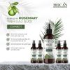 X5BRO120 - Combo 5 Chai Xịt Tinh Dầu Vỏ Bưởi Da Xanh & Tinh Dầu Hương Thảo Mộc Ân Haircare 120ml Hỗ Trợ Giảm Rụng, Mọc Tóc Chăm Sóc Tóc