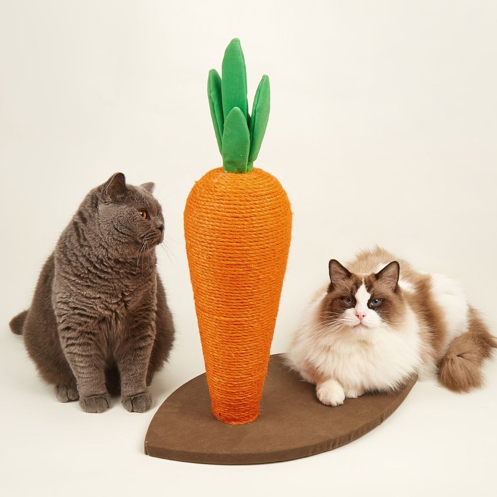 Bàn cào móng sisal hình củ cà rốt FOFOS