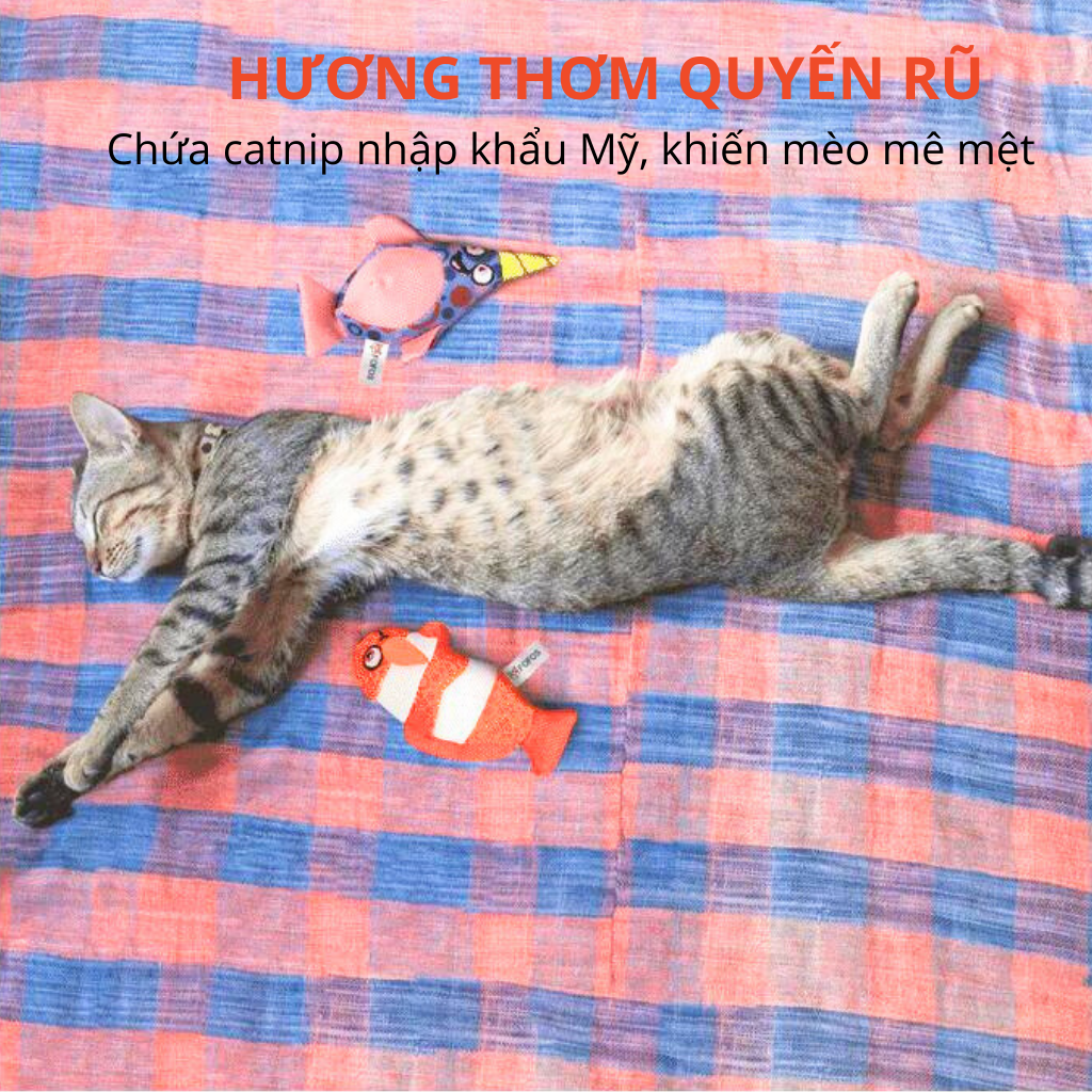 Combo đồ chơi hình cá nemo & cá nhà táng FOFOS