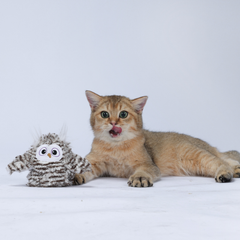 Đồ chơi cảm biến tự động hình chim cú mèo FOFOS