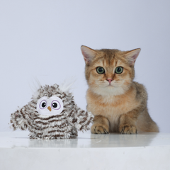 Đồ chơi cảm biến tự động hình chim cú mèo FOFOS