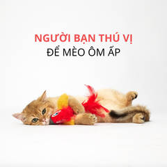 Đồ chơi chim vẹt FOFOS có tiếng kêu kèm bóng catnip