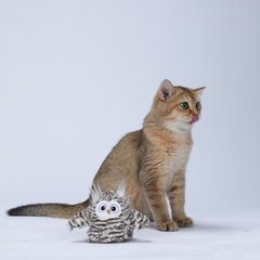 Đồ chơi cảm biến tự động hình chim cú mèo FOFOS