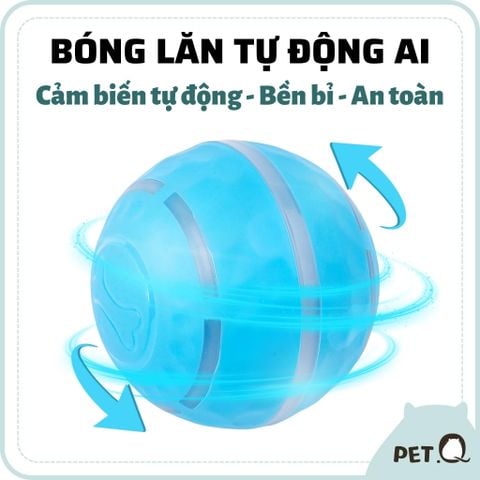 Banh lăn AI tự động cho chó