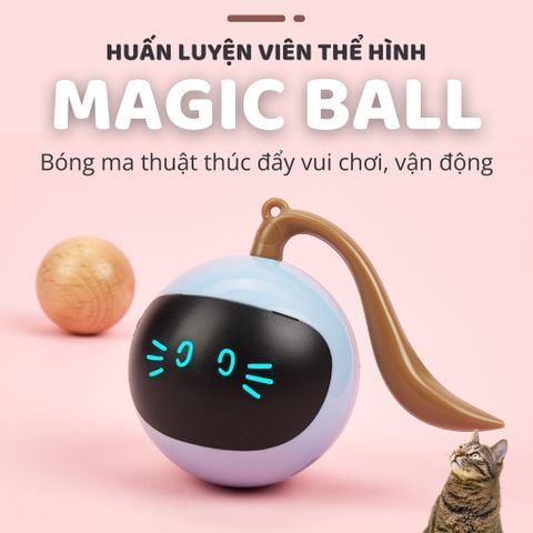 Đồ chơi banh tròn cảm biến cho mèo FOFOS