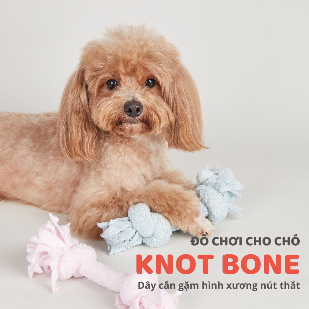 Đồ chơi xương gặm hình nút thắt FOFOS