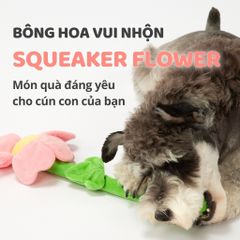 Đồ chơi cho chó hình bông hoa mặt cười