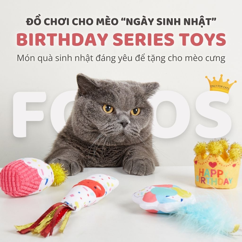 Đồ chơi sinh nhật cho mèo FOFOS