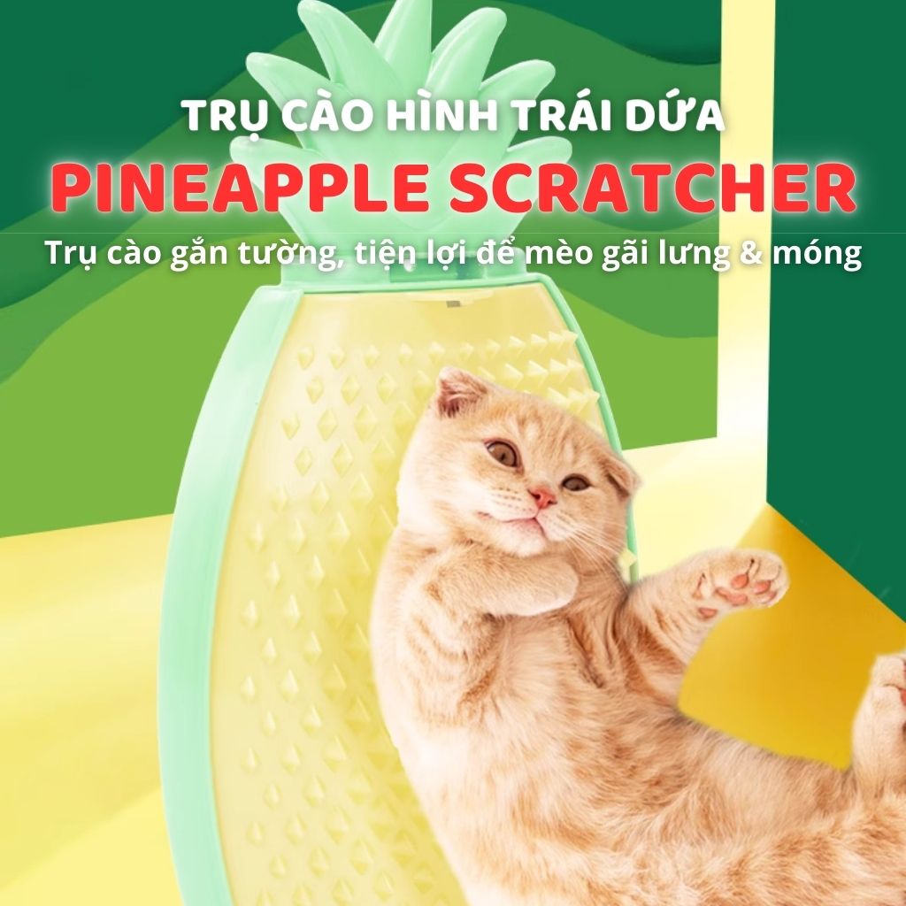 Trụ cào móng gắn tường hình trái dứa FOFOS