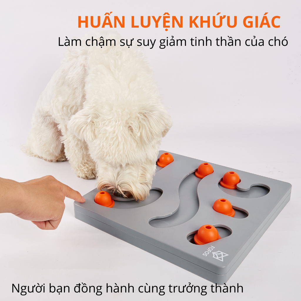 Hộp đồ chơi rèn luyện trí khôn thú cưng FOFOS