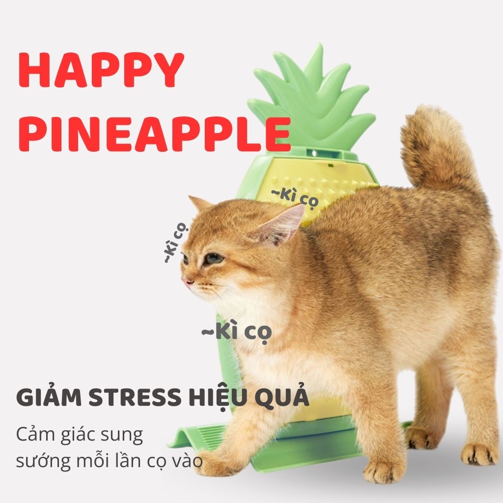 Trụ cào móng gắn tường hình trái dứa FOFOS